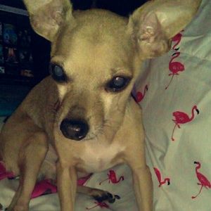 Meet your Posher, Sandra